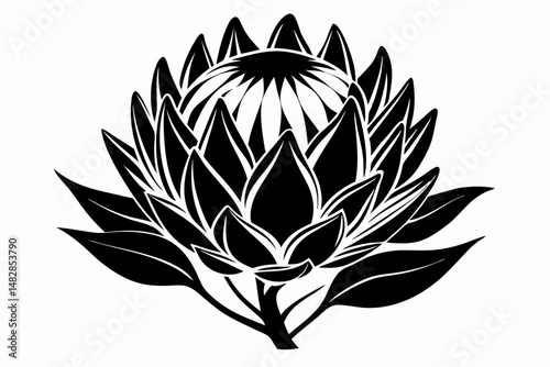 king protea flower silhouette line art vector illustration with a white background