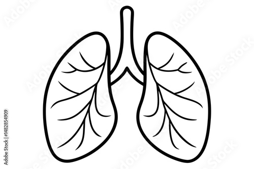 lungs silhouette line art vector illustration with a white background