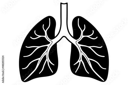 lungs silhouette line art vector illustration with a white background