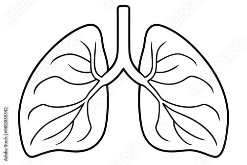 lungs silhouette line art vector illustration with a white background