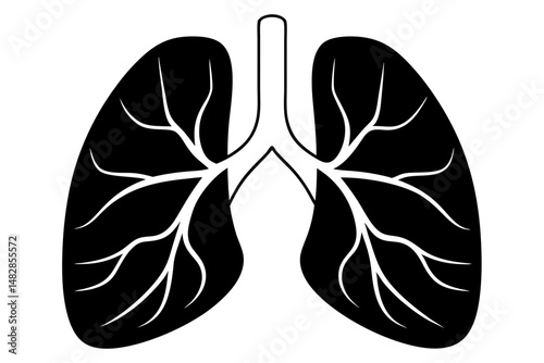 lungs silhouette line art vector illustration with a white background