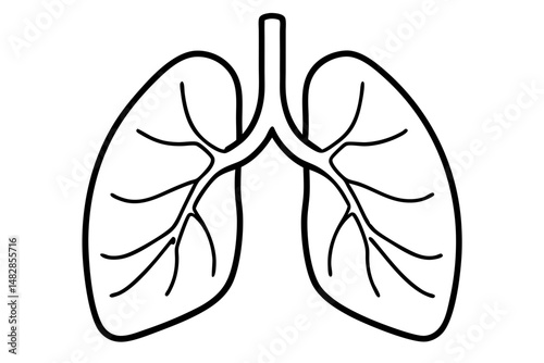 lungs silhouette line art vector illustration with a white background