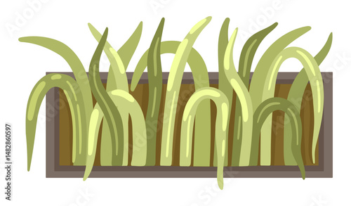 Potted plant top view. Entourage design for architectural floor plans. Vector.