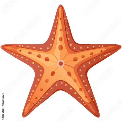 Orange starfish sea animal cartoon vector
