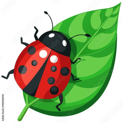 Ladybug on leaf cartoon insect vector

