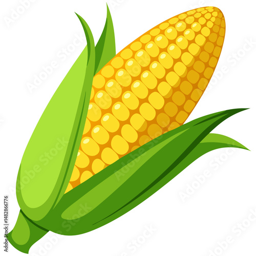 Yellow corn cob with green husk vector
