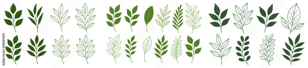 Fototapeta premium Various types of leaves arranged in a neat pattern showcasing diverse shapes and shades of green