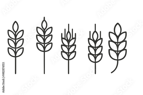 Collection of stylized wheat illustrations showing different stages of growth in a simple line art design