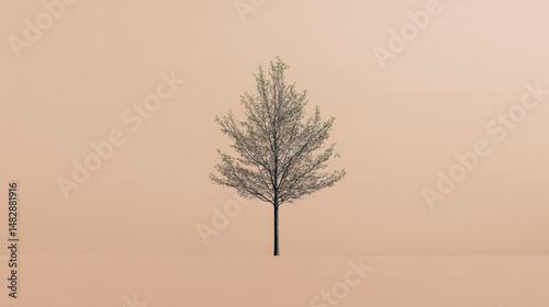 Minimalist Tree on Pastel Background with Soft Lighting and Space for Copy