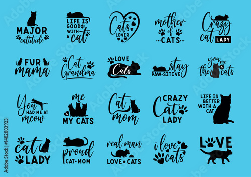 Cute and lively cat drawings tailored for youth fashion and printed tees