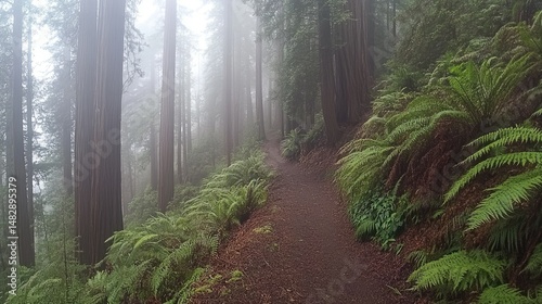 A serene forest pathway winds through towering redwood trees, illuminated by soft sunlight filtering through the leaves.