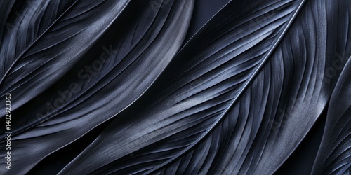 Elegant Monochrome Leaves with Textured Surface in Dark Background