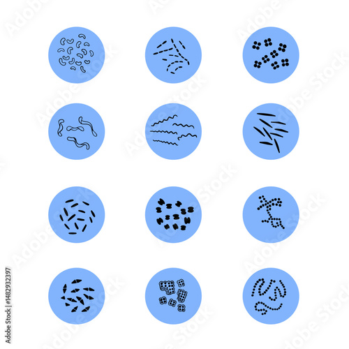 Vector isolated illustration of a set of bacteria types: vibrios and spirilla. Coccus and rod-shaped bacteria.