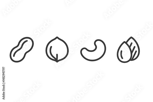 Different types of nuts and seeds arranged in a row on a plain background, showcasing their unique shapes and textures