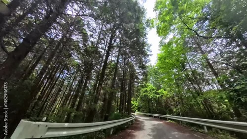 初夏の林道のツーリング車載映像