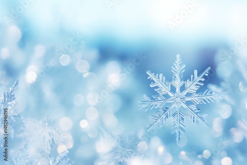Various snowflakes captured in sharp focus, some in the foreground and others softly blurred in the background
