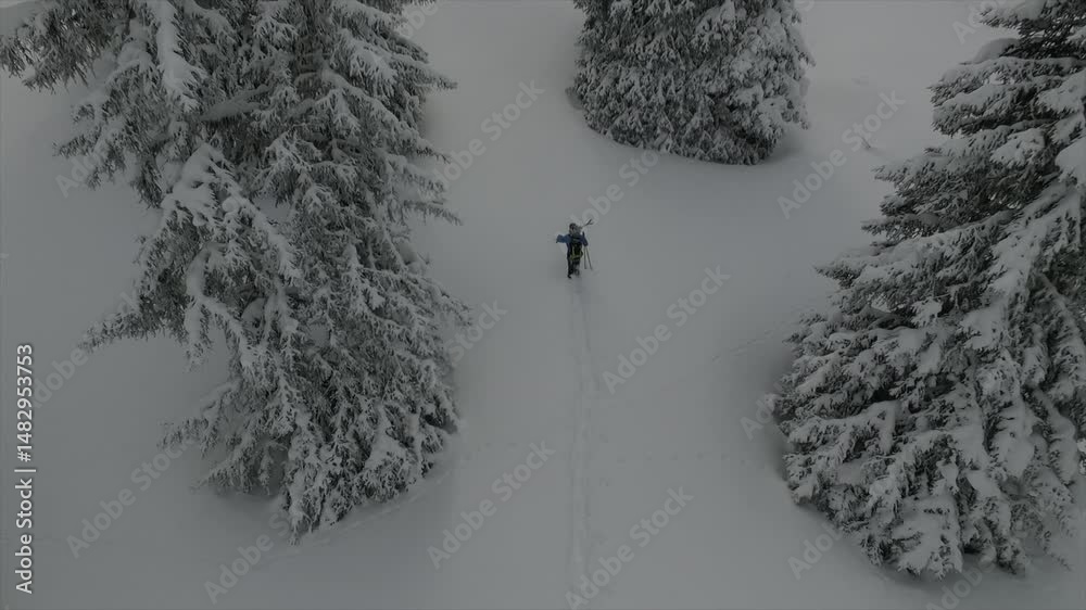 Skieur marchant dans la neige