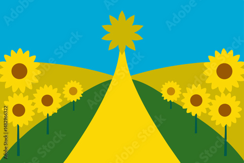 sunflower field in summer