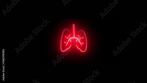 The appearance of the red neon glowing symbol lungs. neon human body  Lung and kidney icon anatomy animation