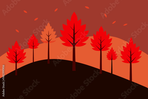 autumn trees in the sun