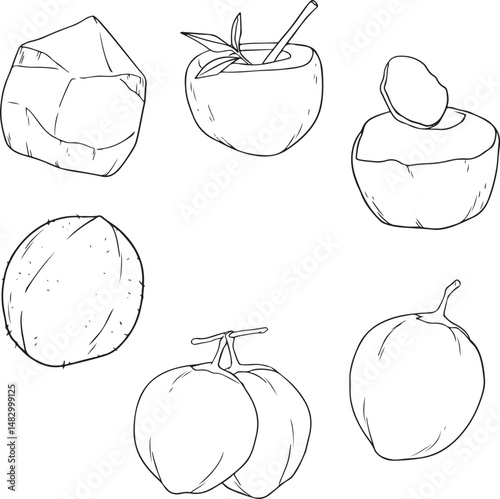 Coconut vector illustration set. Includes whole coconuts, opened coconuts, and coconut drinks with straws. Simple line art for tropical themes.