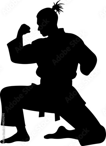 Martial Arts Stance Silhouette
