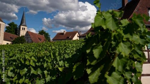 In the village of Hunawihr, Alsace, France, there is an old church surrounded by vineyards