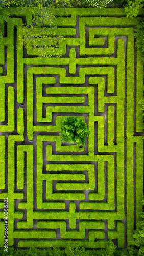 Aerial view of the park maze
