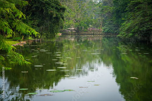 Natural scenic landscape around Sigiriya, Sri Lanka, Asia