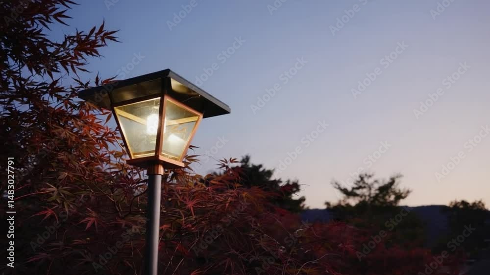 street lamp in the night