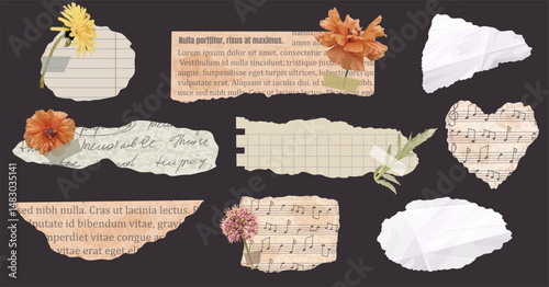 Set of rip newspaper and pad paper piece with flowers in realistic collage style  on dark background