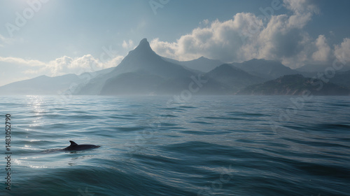 dolphin fin in distance