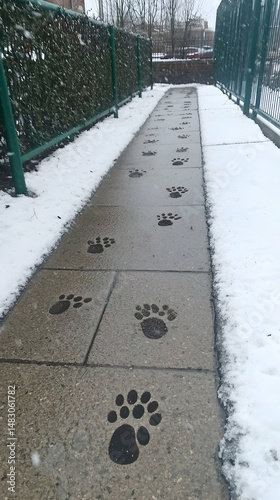 Snow-covered path with animal paw prints, city background, winter scene, ideal for nature or winter themed designs