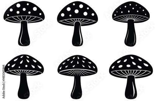 Vector illustration of a set of nature's fungus, including edible and toadstool mushrooms, on a white background