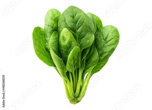 a bunch spinach