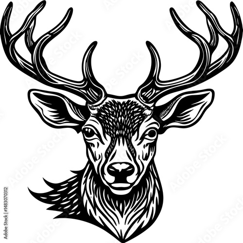 deer head vector