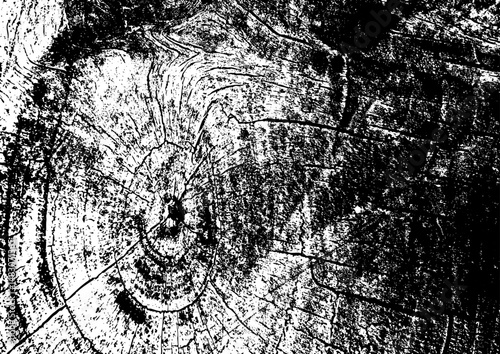 Large vector tree bark texture with a transparent background