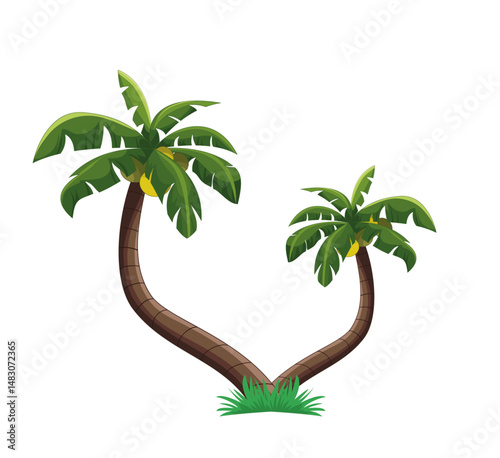 coconut tree