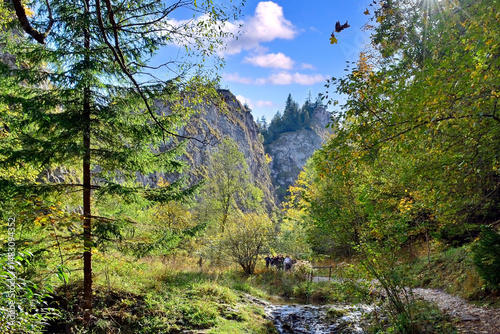 Obraz na płótnie Hiking through the Homole george in Pieniny mountains, a little creek leading through a gorge canyon at a  morning time in autumn