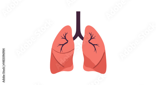 Anatomical illustration of human lungs in colorful flat design  