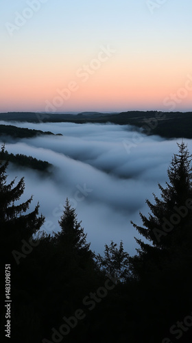 Misty valley: a surreal landscape with low-lying fog blanketed between the hills and silhouetted trees.