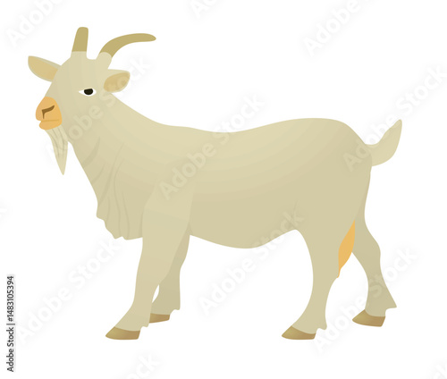 White goat isolated. vector illustration