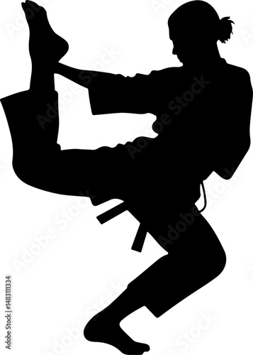  Archery Target with Arrows Silhouette