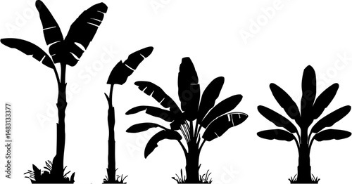 Silhouette Set of Banana Trees with Leaves in Black, Elegant black silhouette of banana trees with wide leaves, perfect for tropical design, nature themes, icons, or botanical artwork.