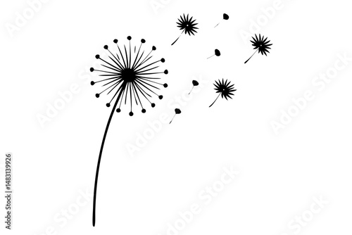 Dandelion blowing in the wind silhouette vector illustration