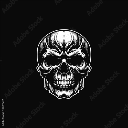 Detailed black and white illustration of a human skull, showcasing intricate bone structure and texture. Anatomy concept