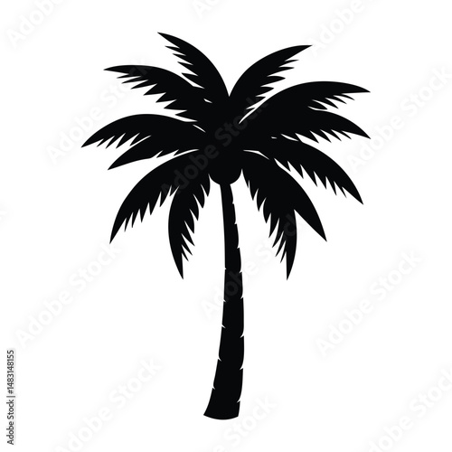 palm tree vector illustration