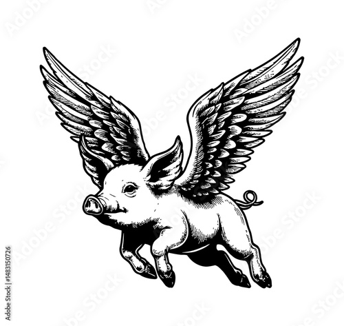 A flying pig with wings in a detailed black and white line art drawing illustration