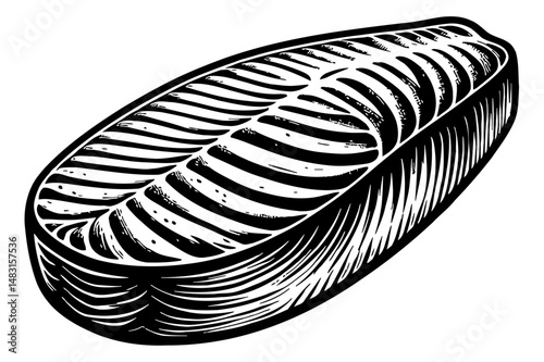 Engraved Black and White Illustration of a Salmon Steak with Detailed Line Work