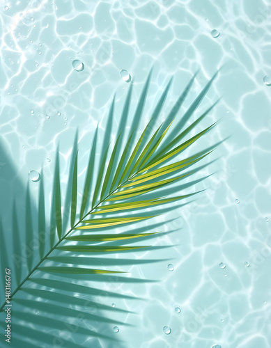Sunlit palm leaf casting a delicate shadow on crystal-clear water with shimmering droplets cascading. Overhead perspective, minimalist flat lay. Wide banner., grunge. with white shades
